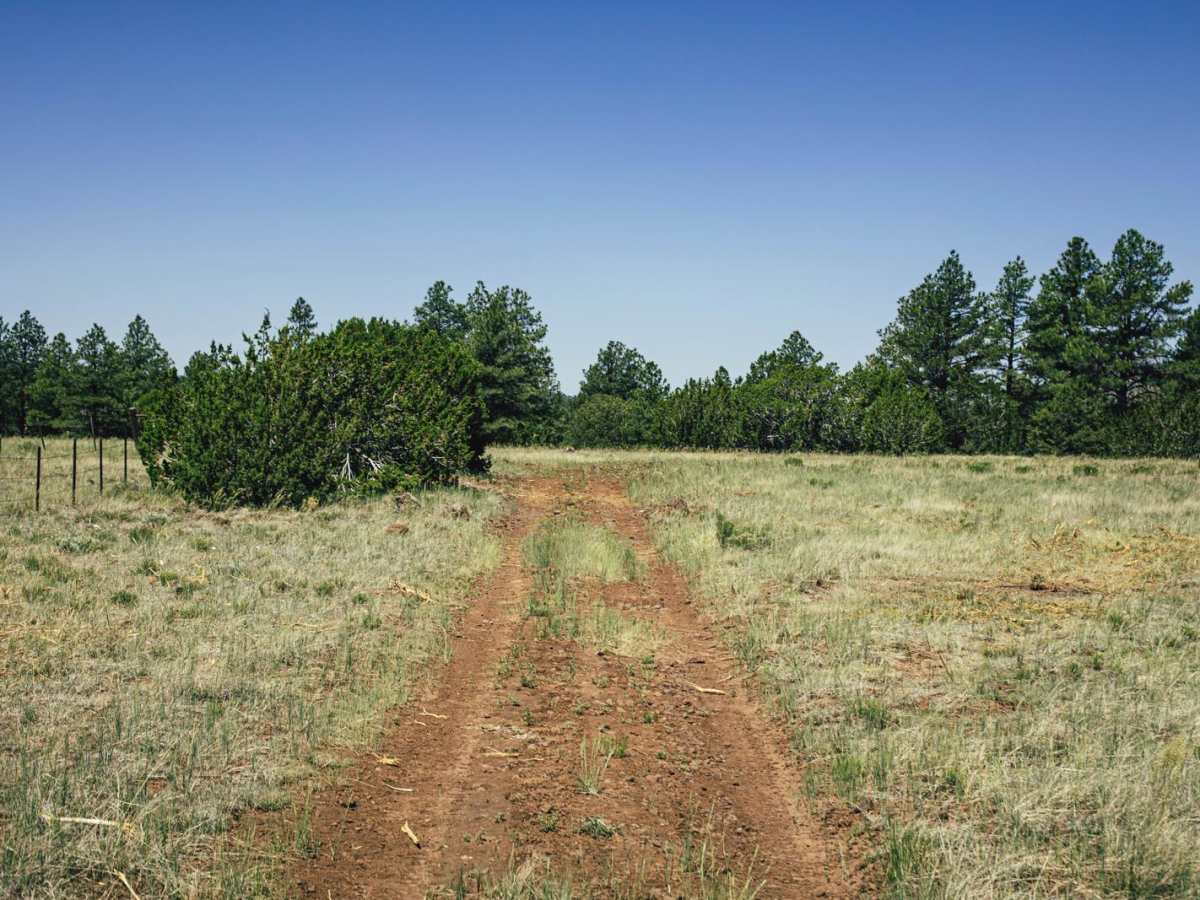 Hunters Meadow photo 6