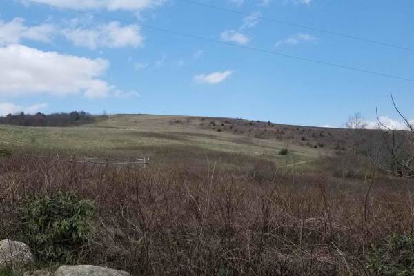 Max Patch Road