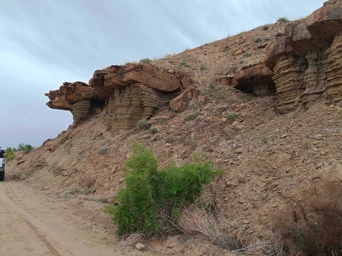 Down Floy Canyon Road photo 6