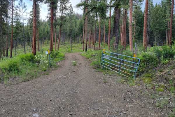 Cabin Creek