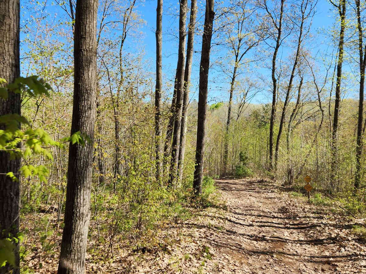 Trail 57 photo 2