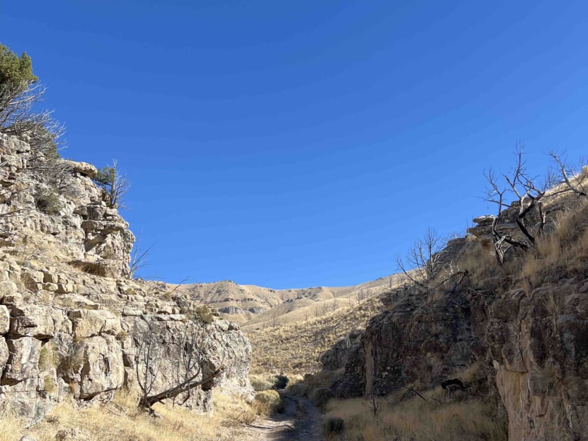 Quincy Spring Canyon photo 4