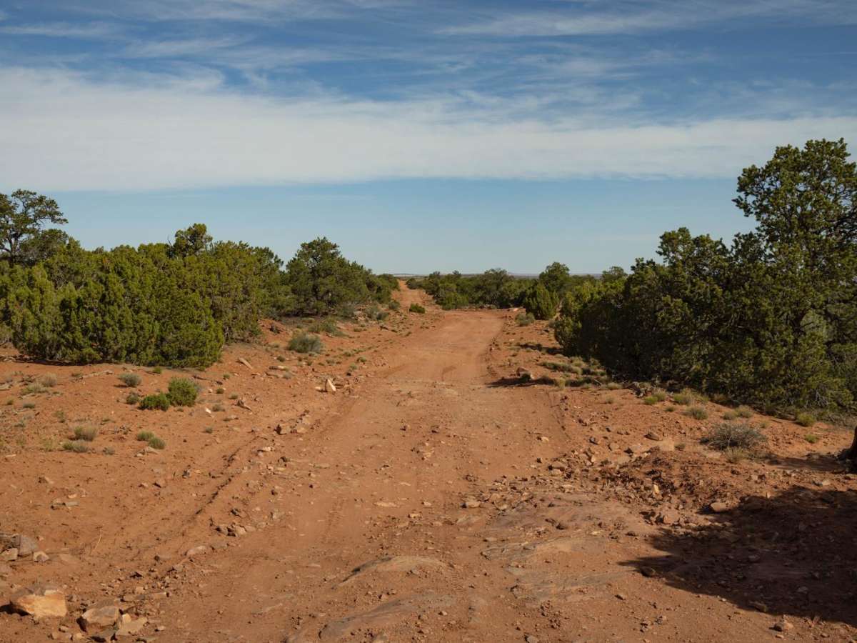 Canyonlands Overlook photo 5
