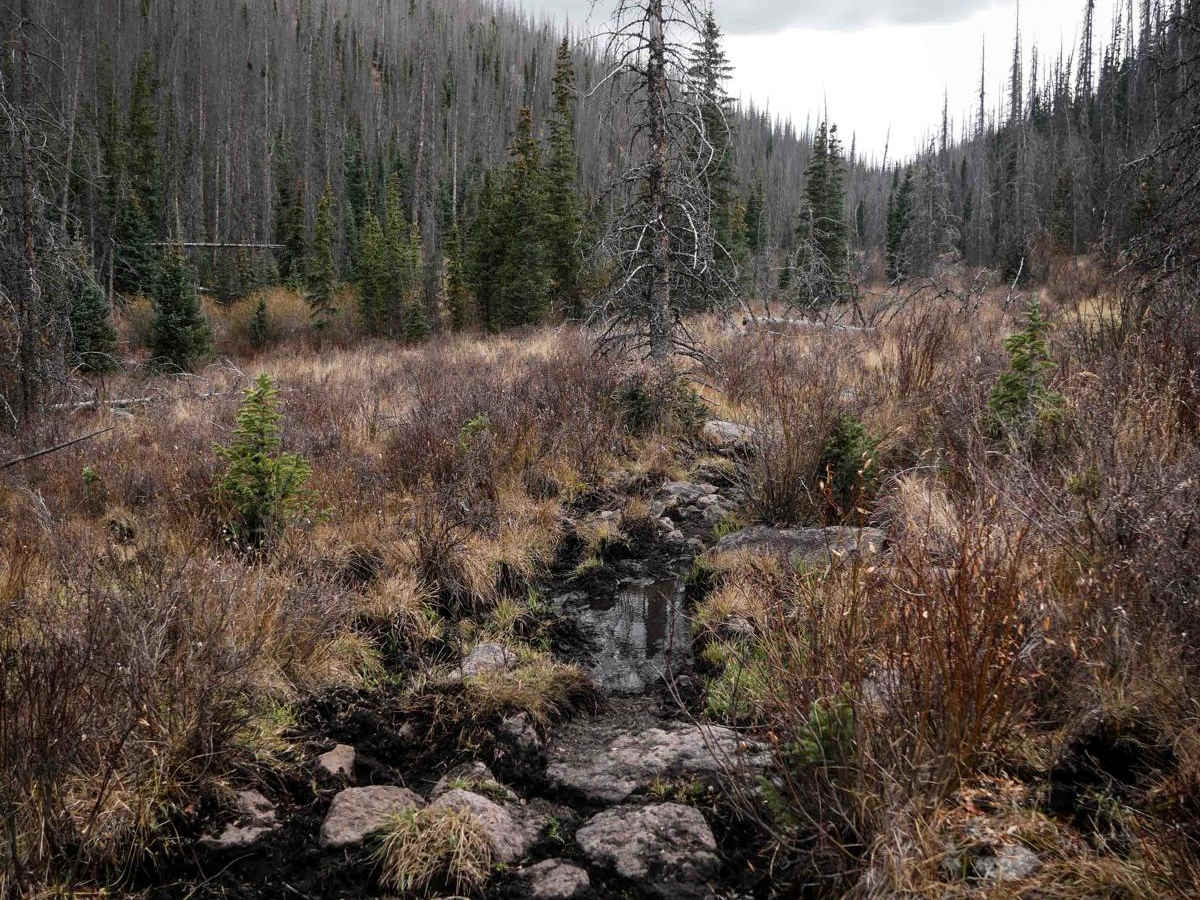 Groundhog Single Track photo 4