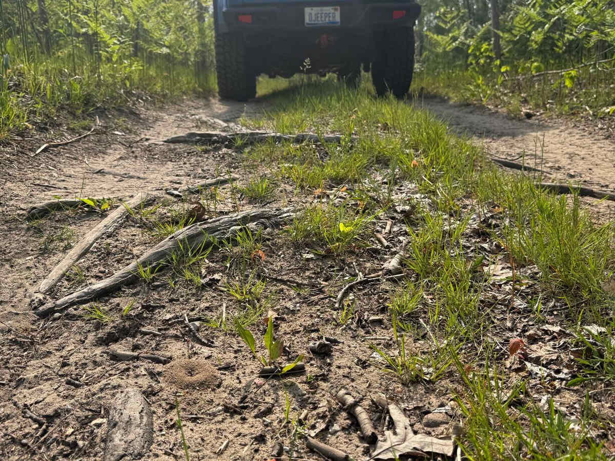 39-1/4 Trail photo 4