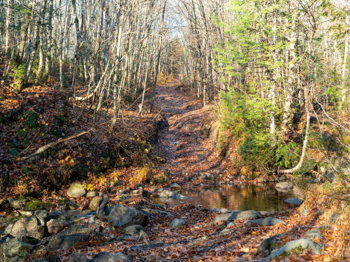 Batchawana Falls Road - Northern Section trail photo
