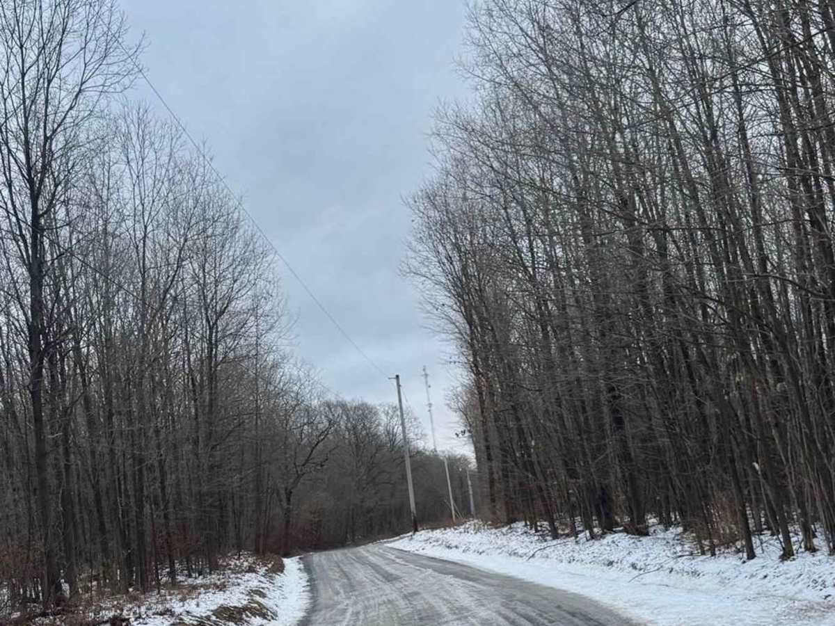 Countyline Road trail photo