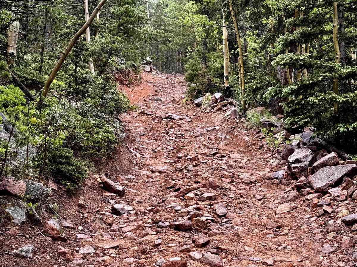 Mount Rosa Road - FS 381 photo 3
