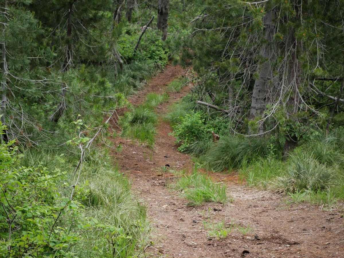 Flume Ridge ATV photo 3