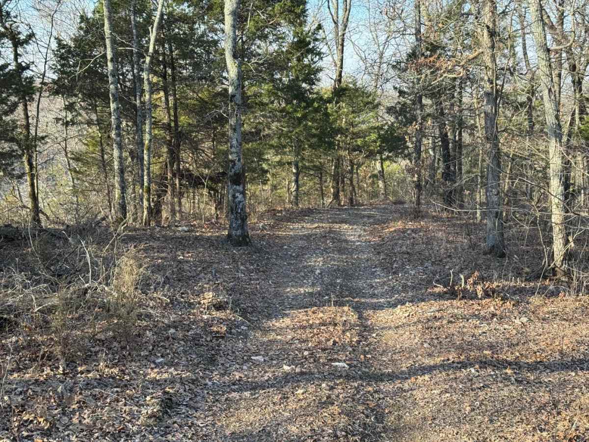 Green 409 trail photo