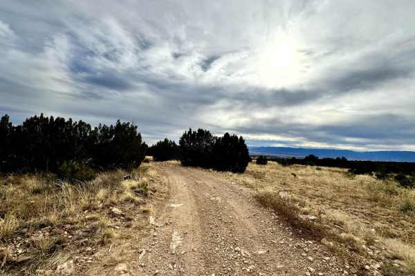 Penrose Commons BLM 6102E