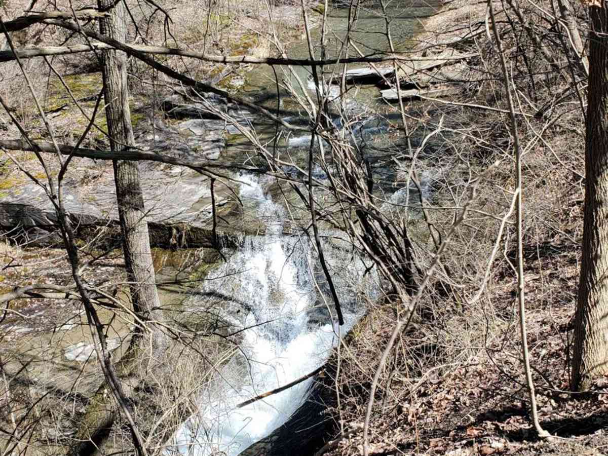 Carpenter Road photo 5