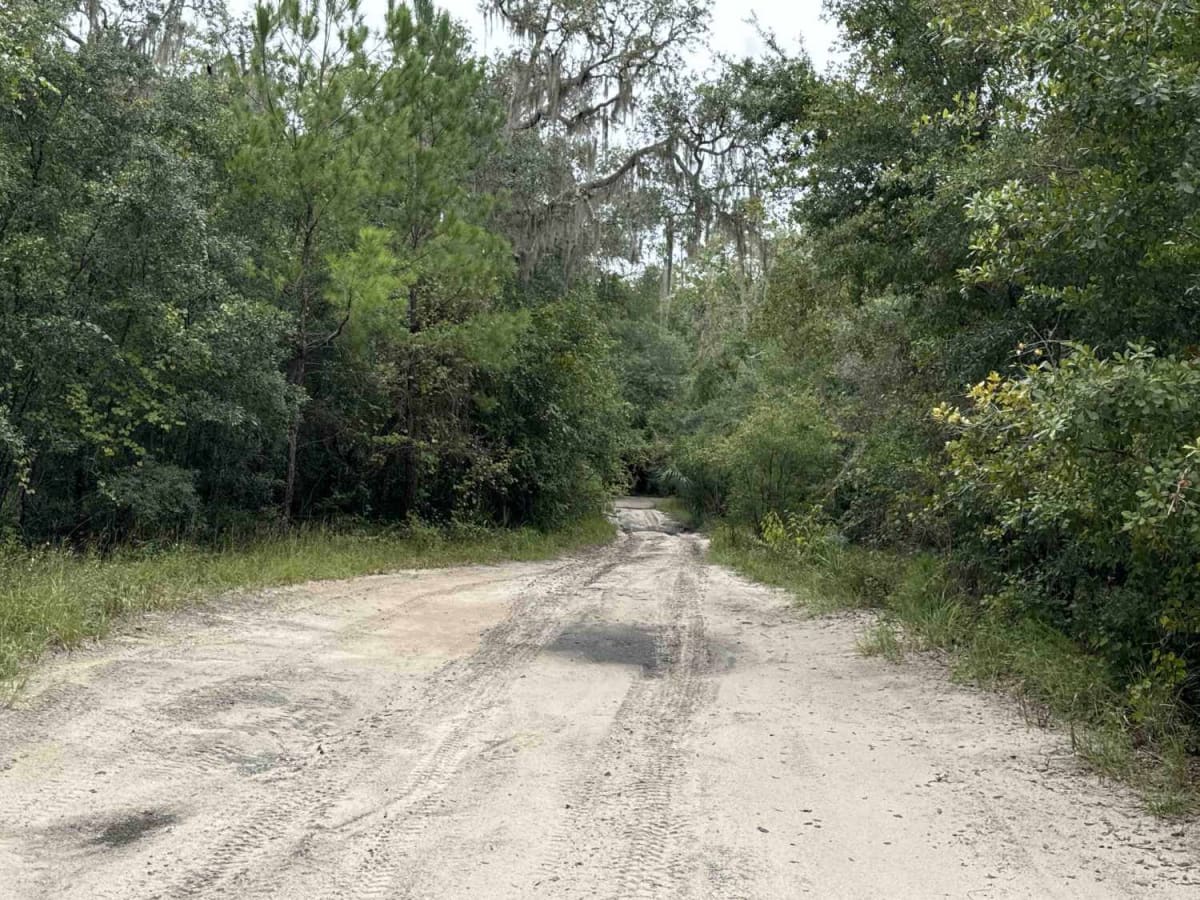 South West Pond Trail - ONF 314 5.7A photo 3