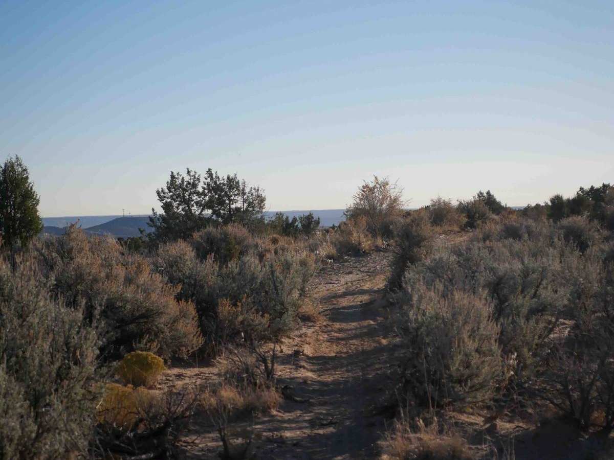 Apple West Singletrack photo 5