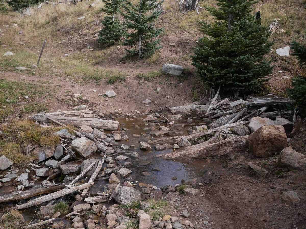 Bear Creek photo 5