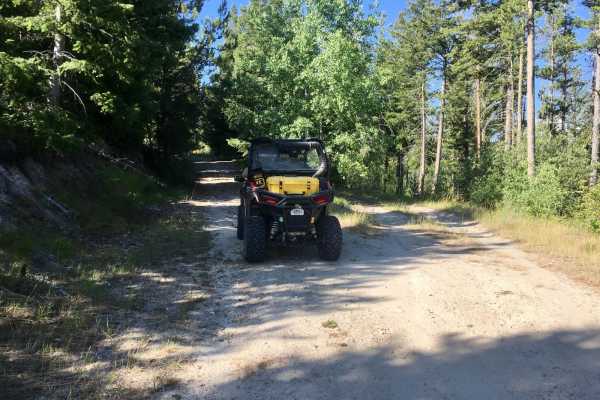 Blacktail Point Road