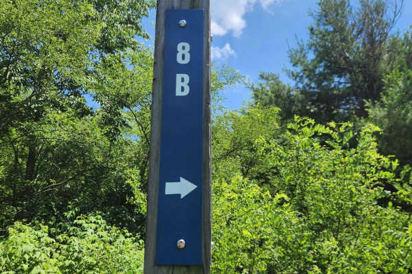 Trail 8B - Rock Run Recreation Area