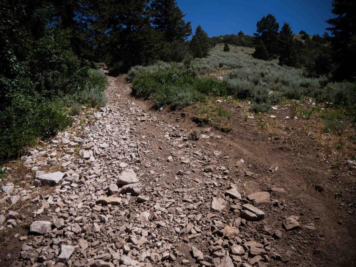 Steep Springs #3450  photo 3