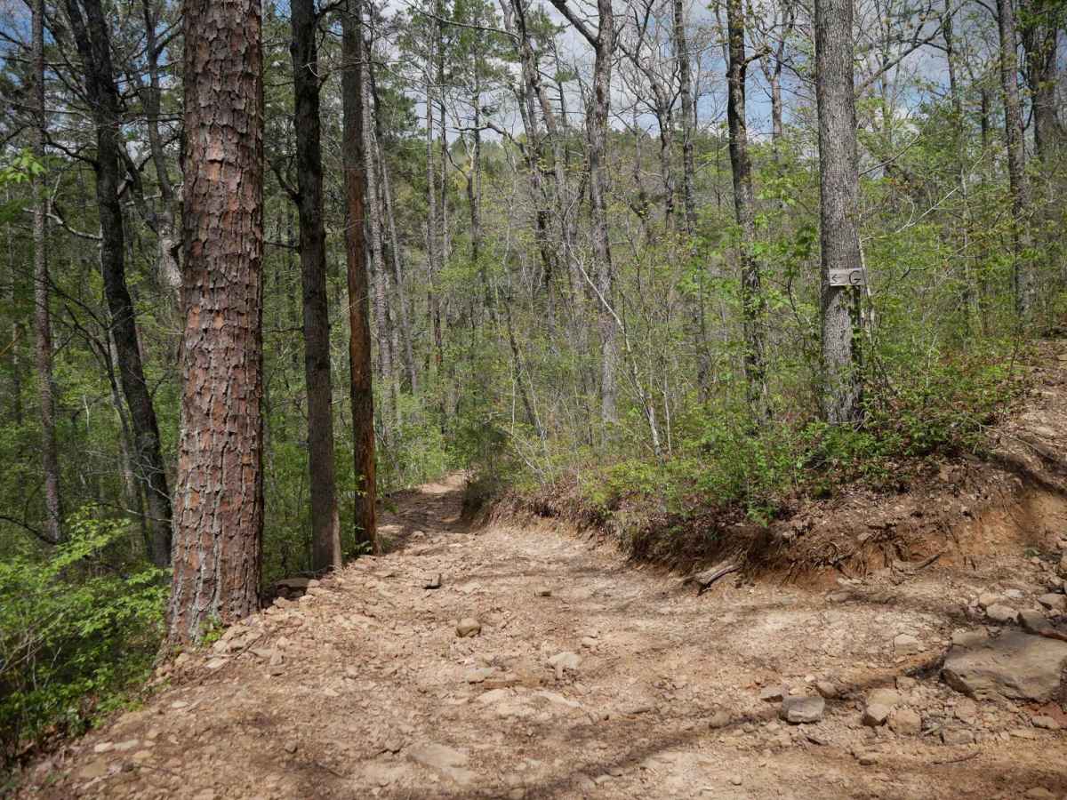 Gap Hollow Spur South 1 photo 4