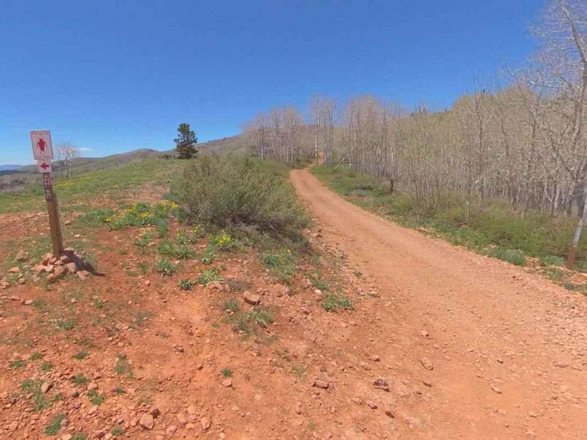 Goat Springs-Devil's Arm Chair-FSR40500 photo 3