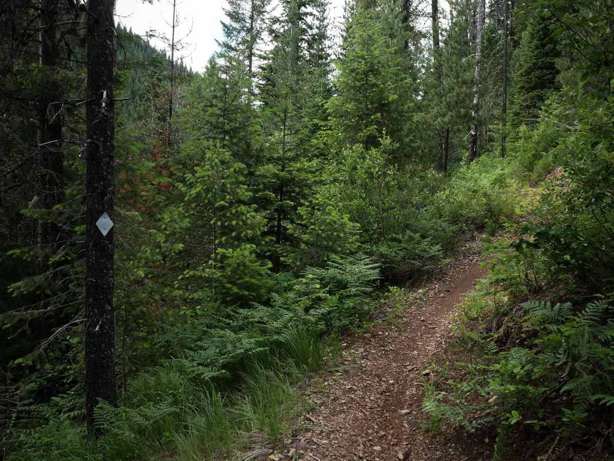 Big Creek photo 2