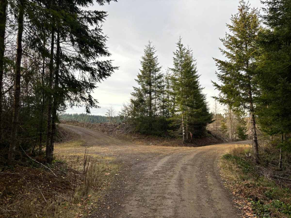 NoFo Road photo 4