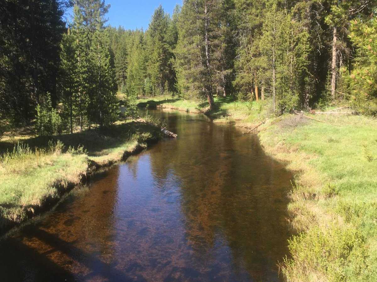 Sand Basin Road trail photo