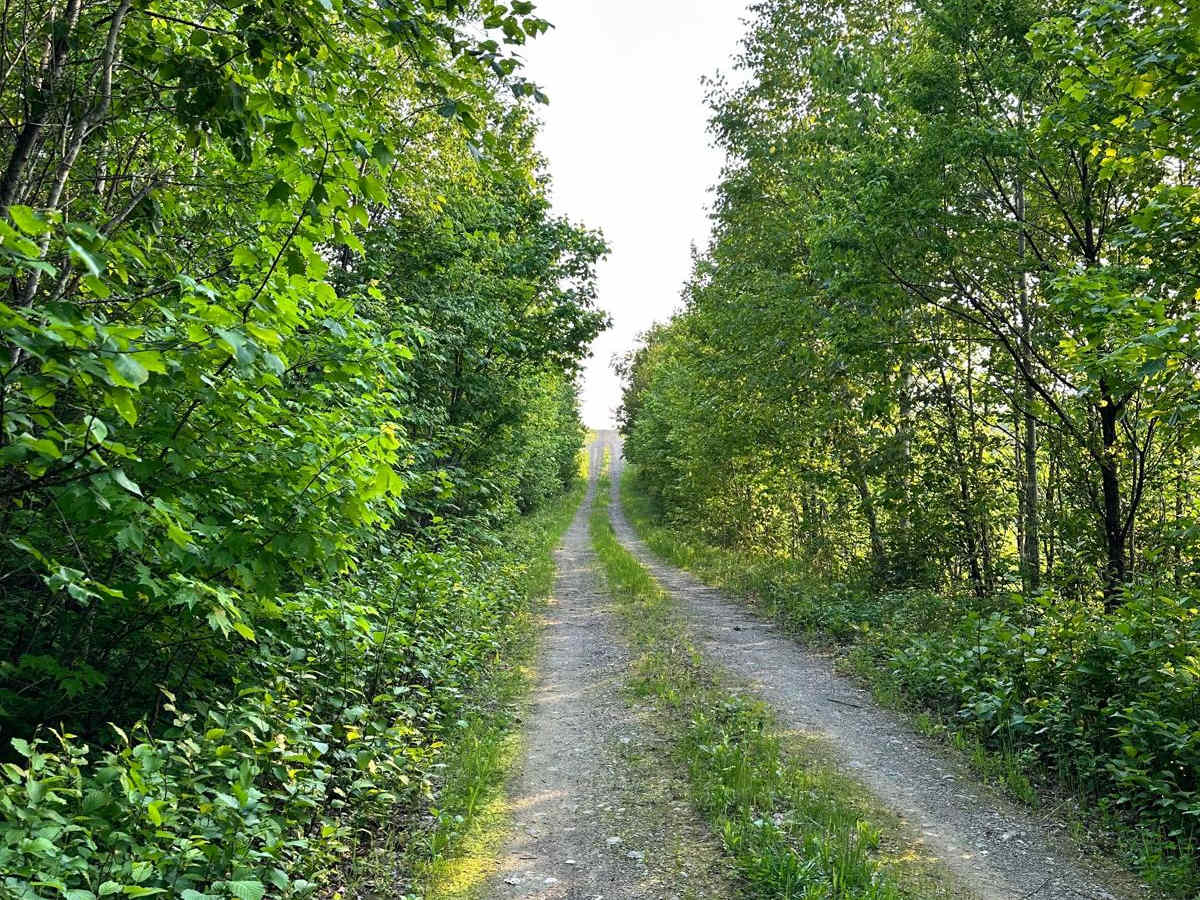 Masardis Main ATV photo 6