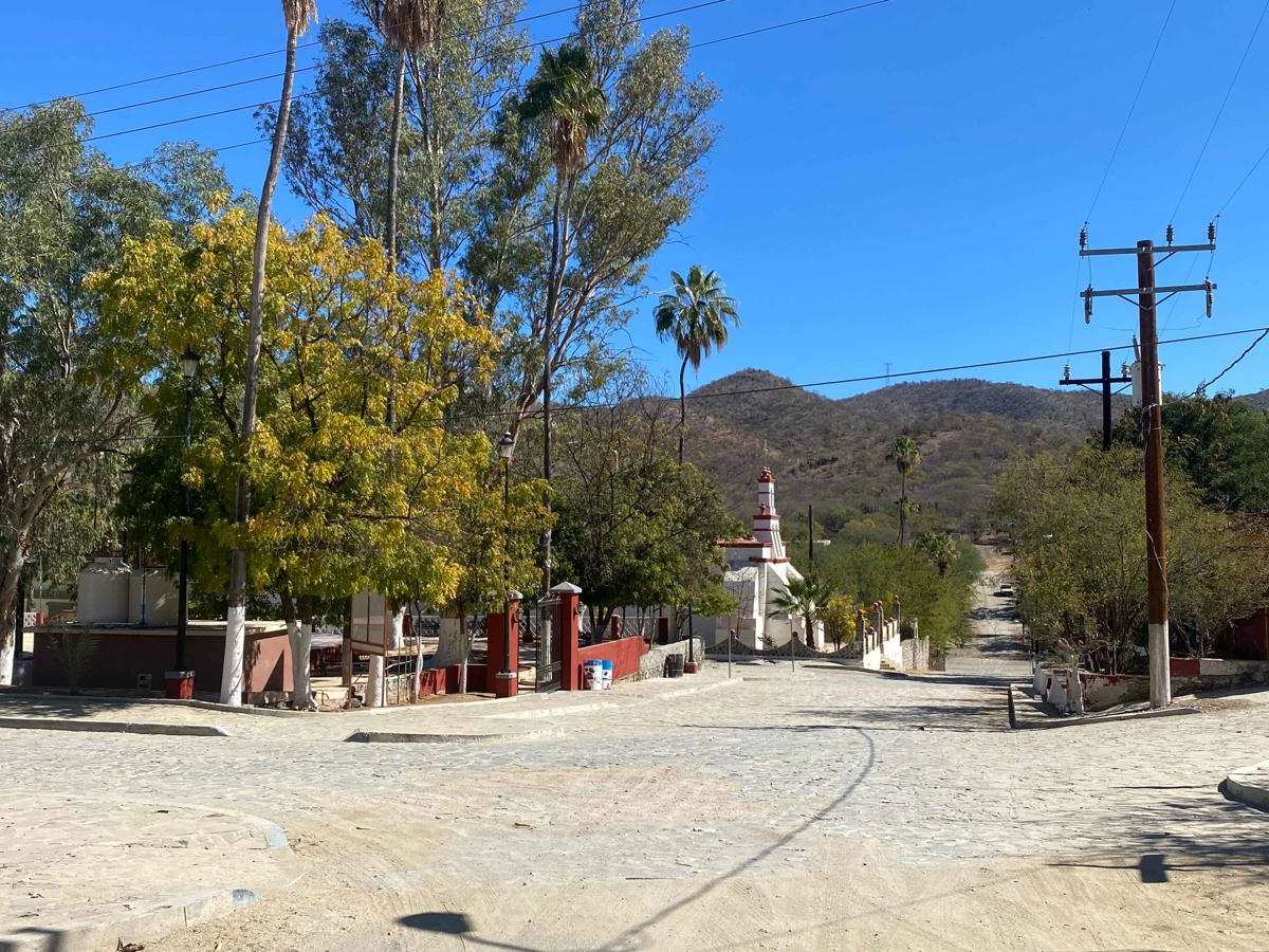 Ruta Plata photo 6