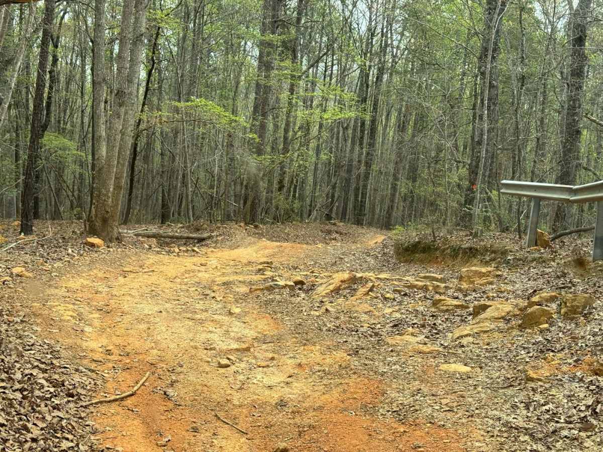 Falls Dam Trail 96 photo 3