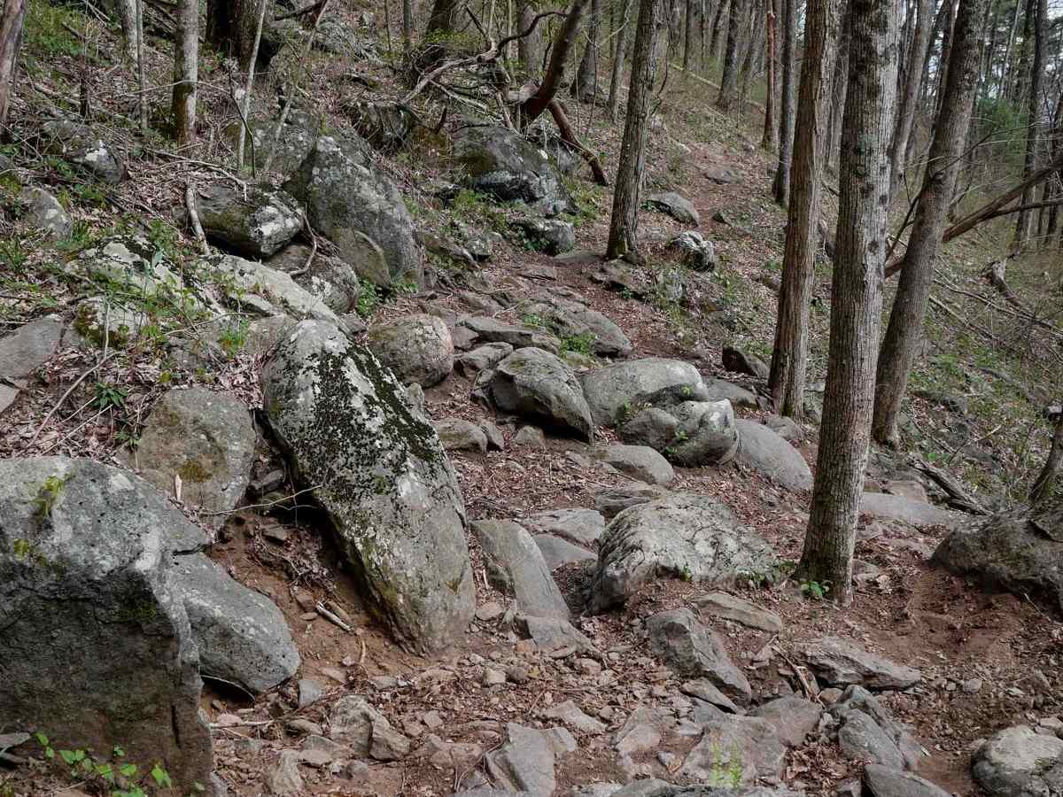 Windy Gap Motorcycle trail photo