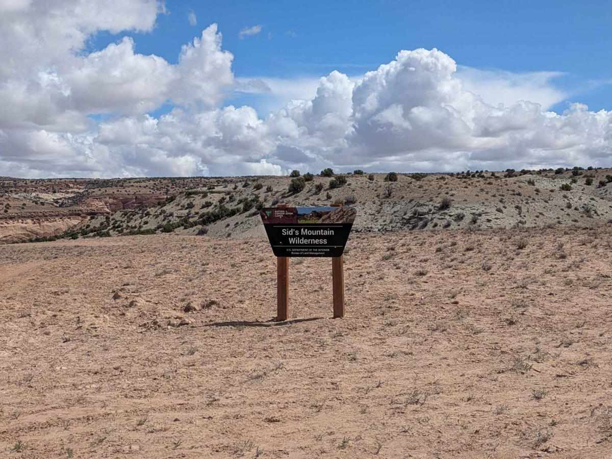 Little Wedge Road photo 2