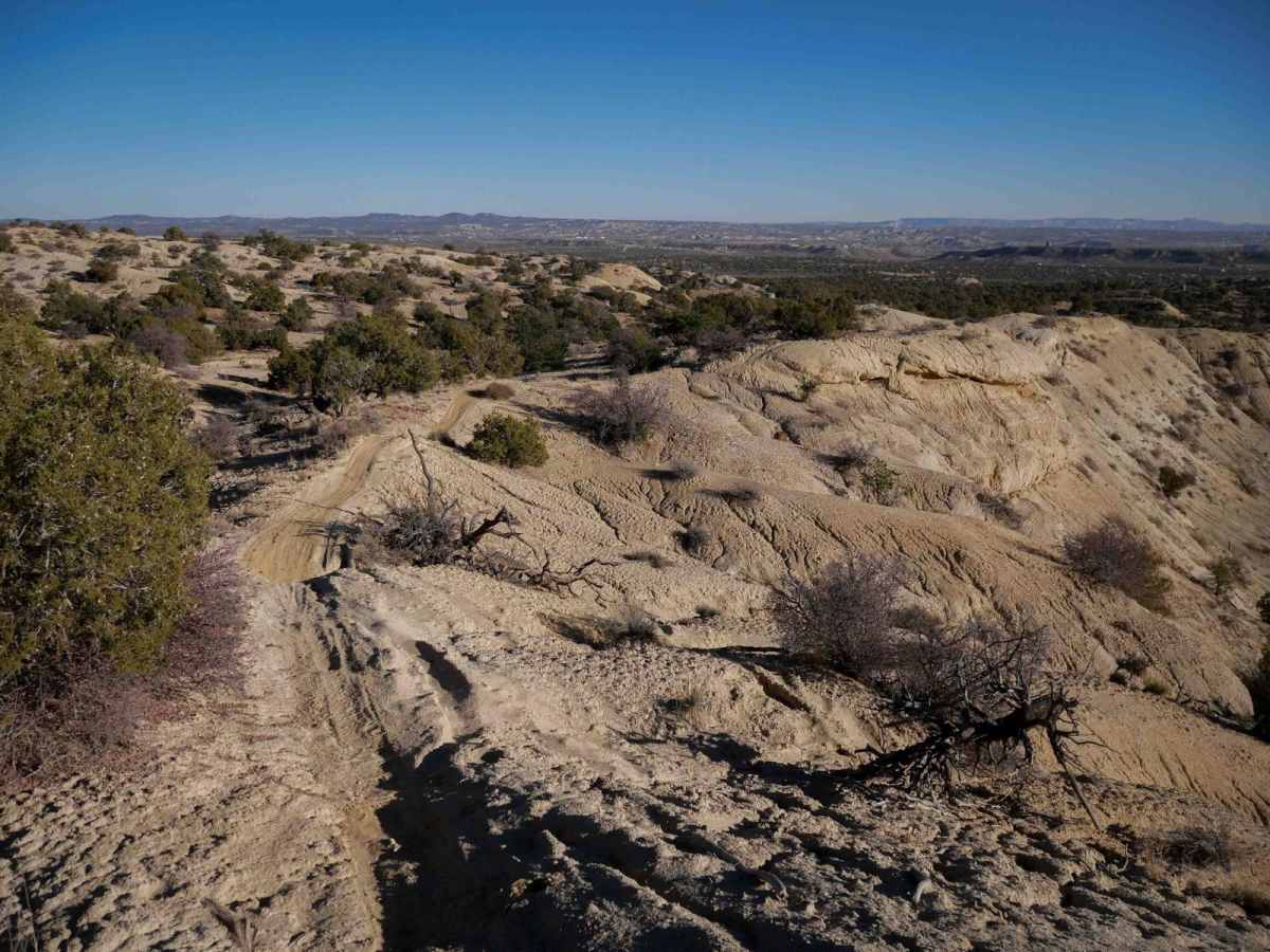Mini Ridge Singletrack photo 5