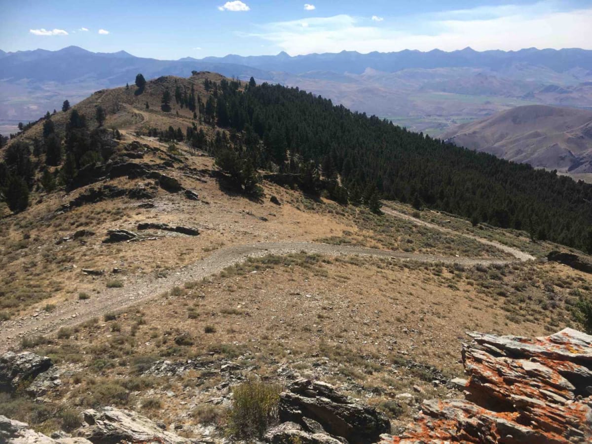 Reese Creek Trail trail photo