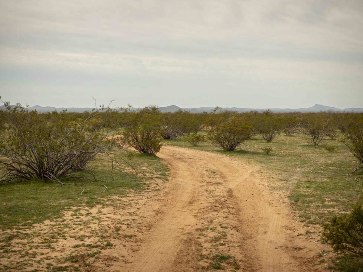 Southern Stroll photo 3