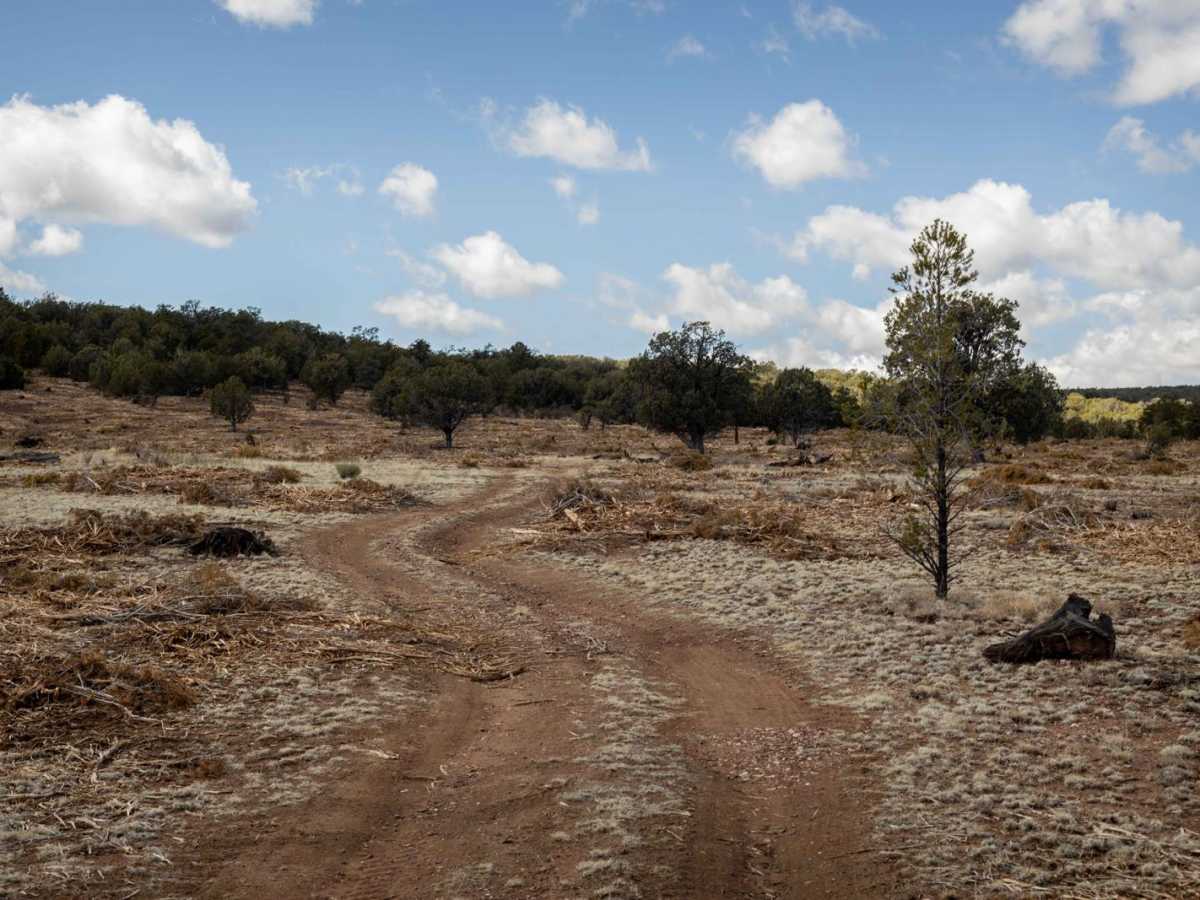 Friche's Loop trail photo