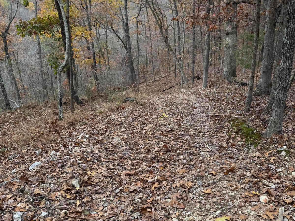 Red 208 trail photo