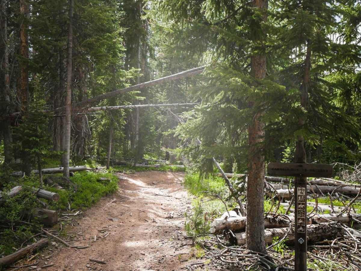 Farwell Mountain ATV Trail photo 6