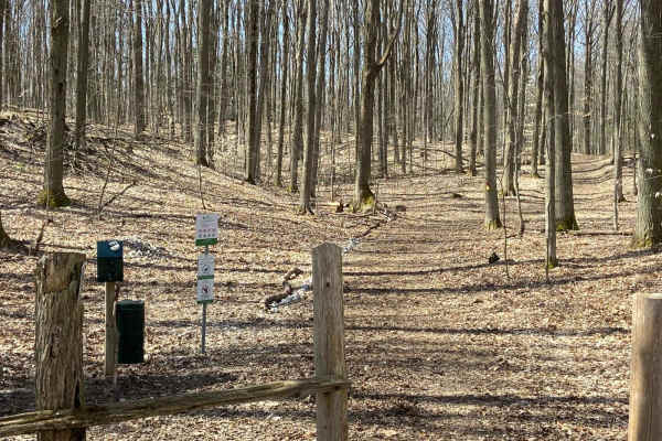 Creemore Run