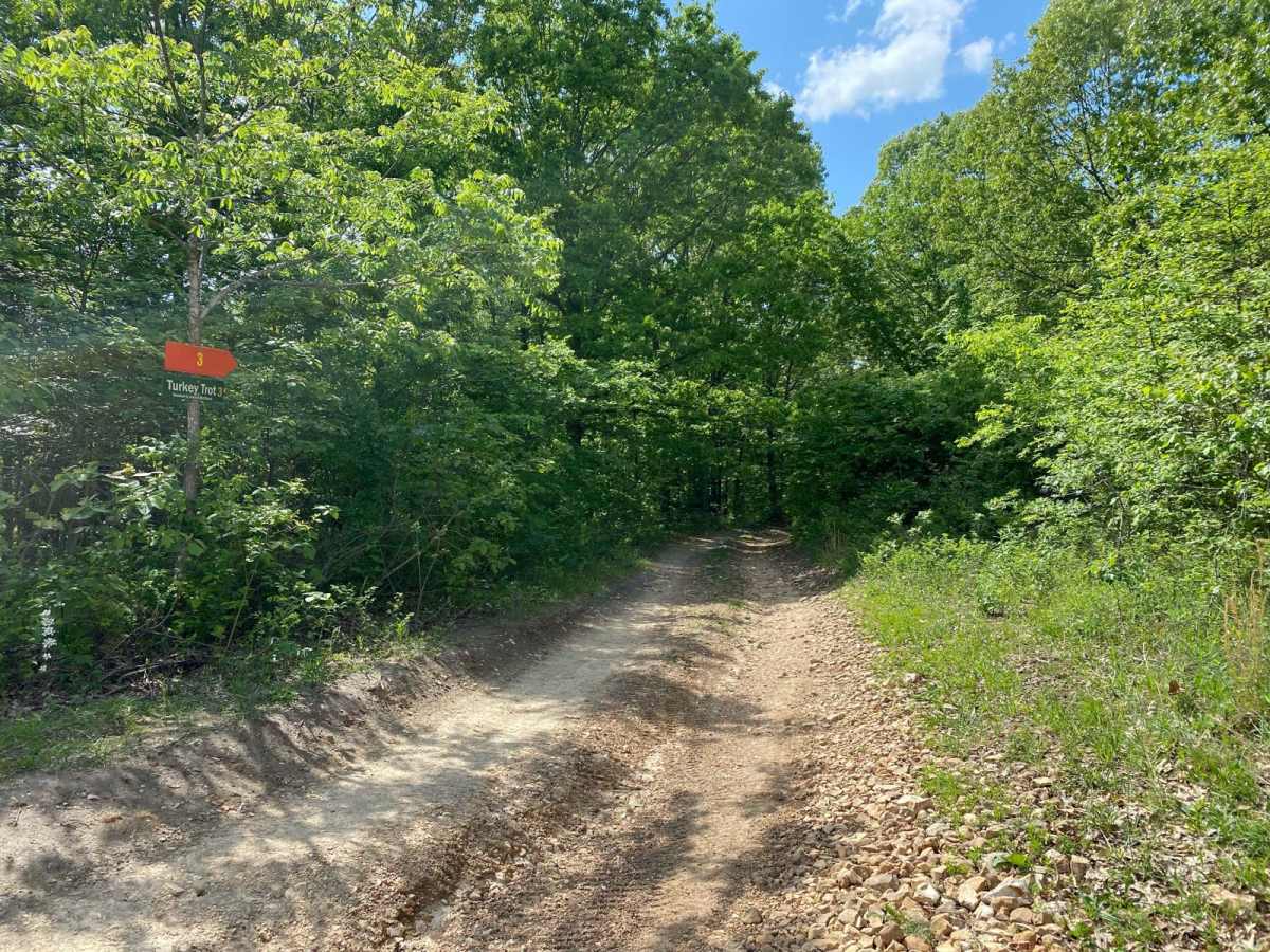 Turkey Trot trail photo