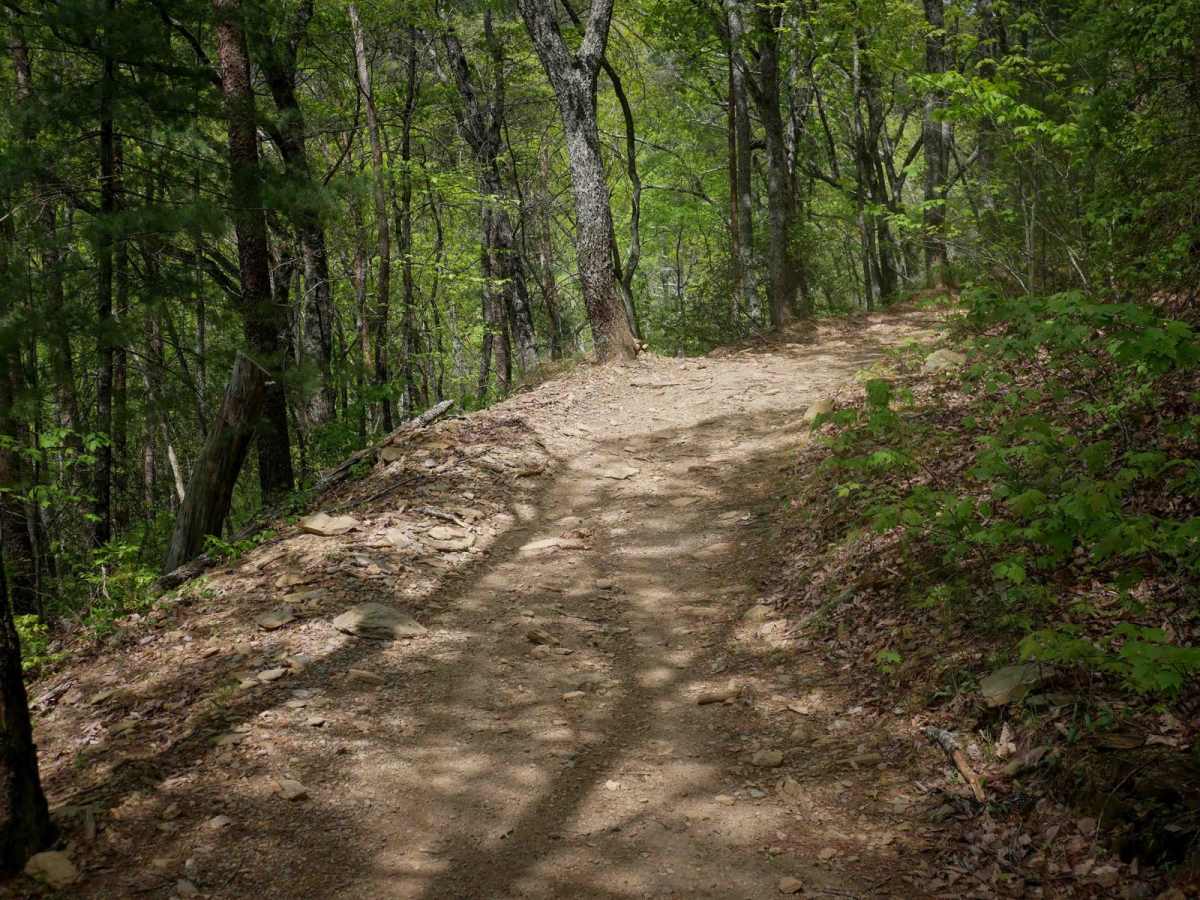 Windy Gap ATV trail photo