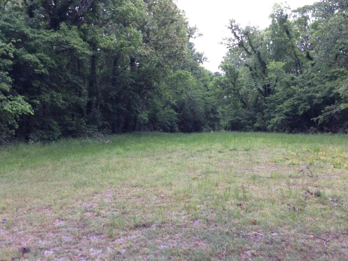 Three Rivers WMA - Grand Bay Trail photo 5