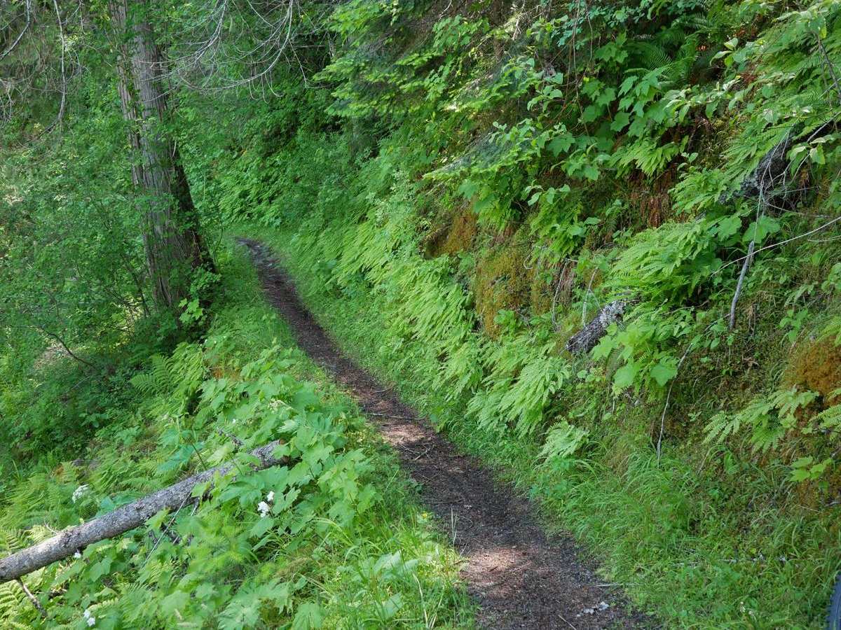 Windy Ridge photo 2