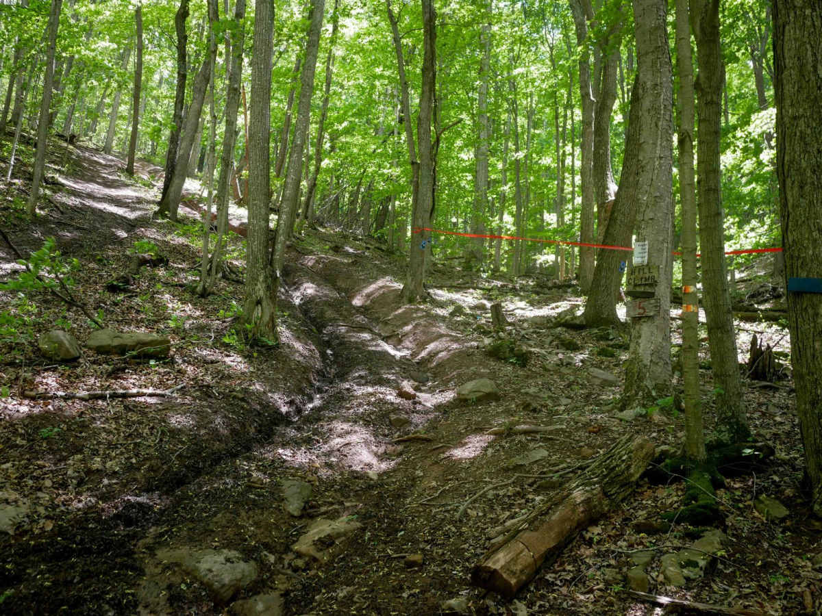 Trail 15 trail photo