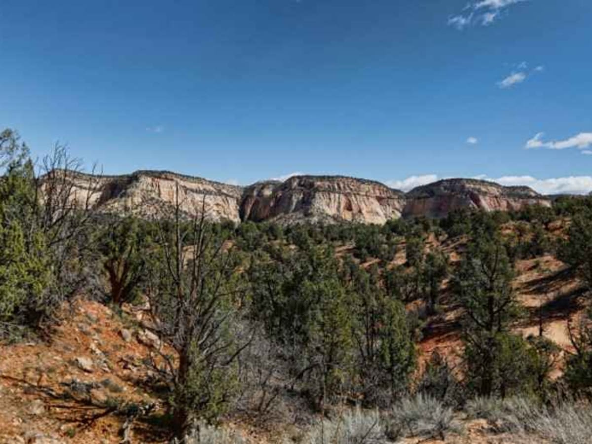 Upper Barracks Trail-BLM20 trail photo