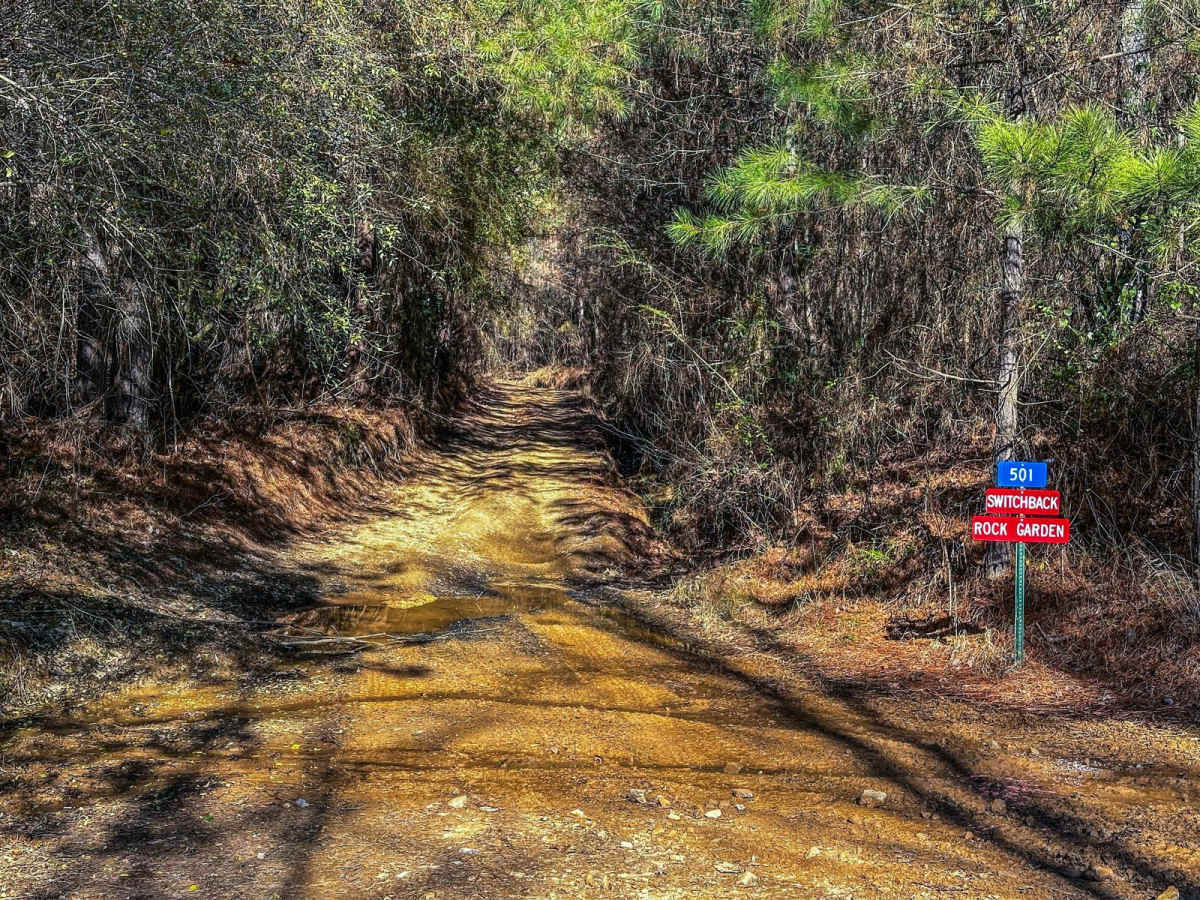 501 trail photo