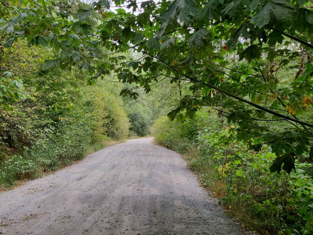 Gentle Campers Offroad Creekside Drive photo 6
