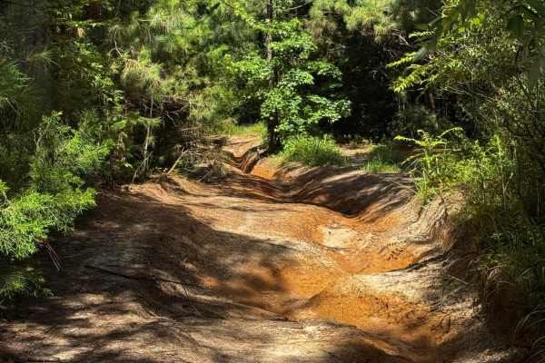 Pipeline Road