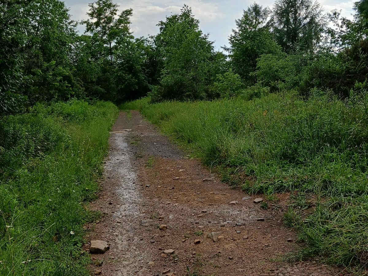 Trail 3A - Rock Run Recreation Area photo 3