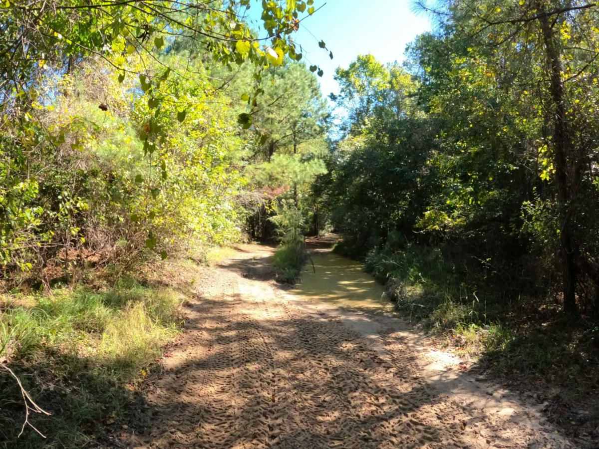 Fox Hollow photo 4